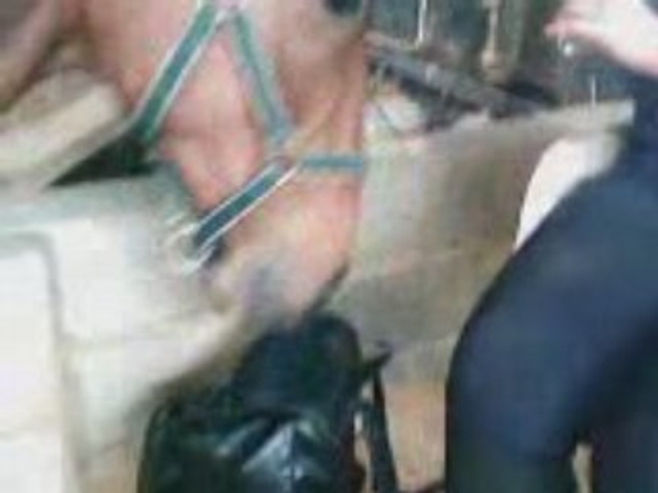 VID010