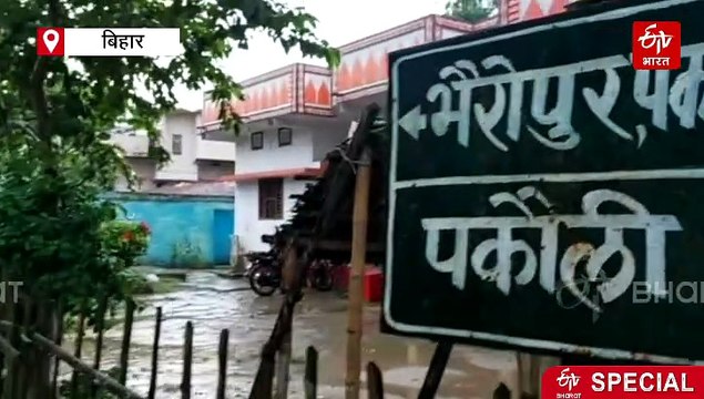 पकौली की 'खुशियों का खजाना', गांव की बेटियों से चंदन के पेड़ का अनोखा रिश्ता, बेसहारों का सहारा चंदन का पेड़