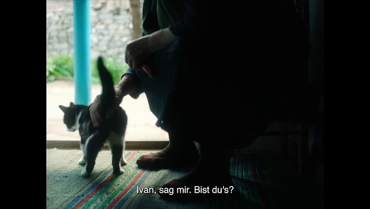 STILLE BEOBACHTER Film