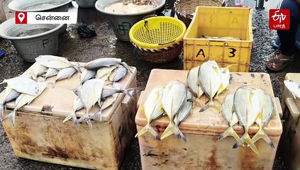 புரட்டாசி மகாளய அமாவாசை: களையிழந்த இழந்த காசிமேடு மீன் மார்க்கெட்!