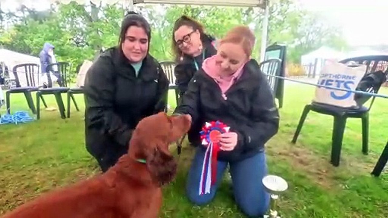 Severn Hospice holds a special dog show event in Shrewsbury.