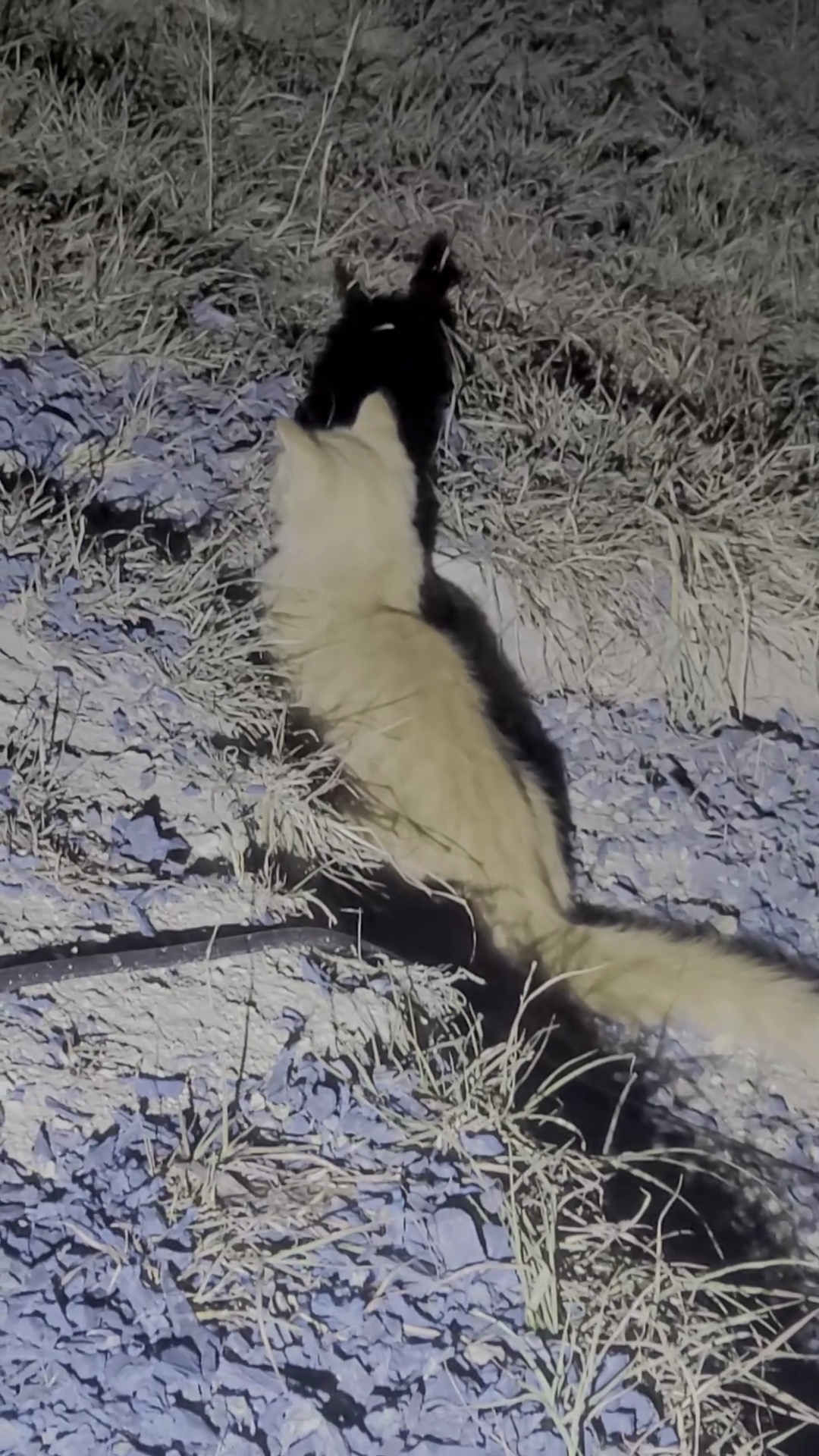 I will post more later