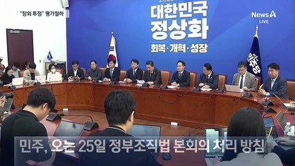 민주당 “장외투쟁 아닌 장외투정” 평가절하