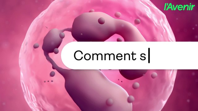 Santé/Greffe de cellules souches