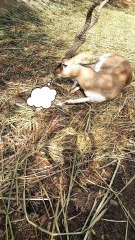 Are you doing this too?