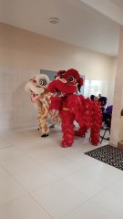 Lionel Dragons en Pagoda Mi Automne Festival de France