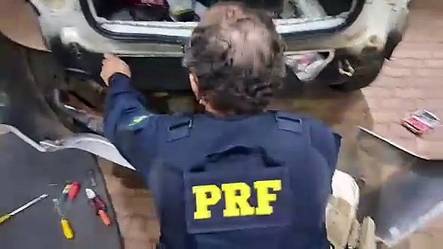 Carro com compartimento oculto que transportava 50 kg de cabelos humanos é apreendido