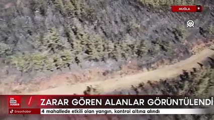 Muğla'da yangından zarar gören alanlar havadan görüntülendi
