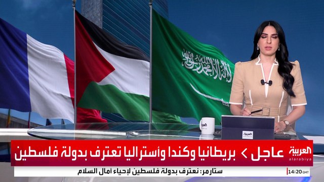 دور تاريخي للسعودية في مسار حل الدولتين والسلام العادل