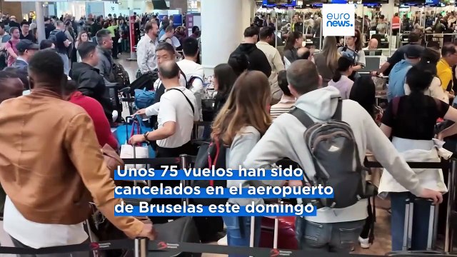 El aeropuerto de Bruselas pide a las compañías aéreas que cancelen la mitad de los vuelos del lunes
