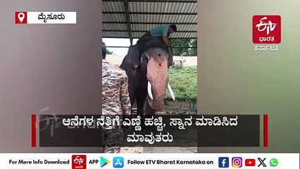 ಮಹಾಲಯ ಅಮಾವಾಸ್ಯೆ: ದಸರಾ ಆನೆಗಳ ತಾಲೀಮಿಗೆ ವಿರಾಮ