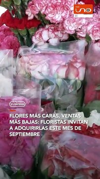 Flores más caras, ventas más bajas: floristas invitan a adquirirlas este mes de septiembre