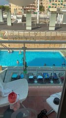 Las cucarachas en el Hotel Alegría Maripins