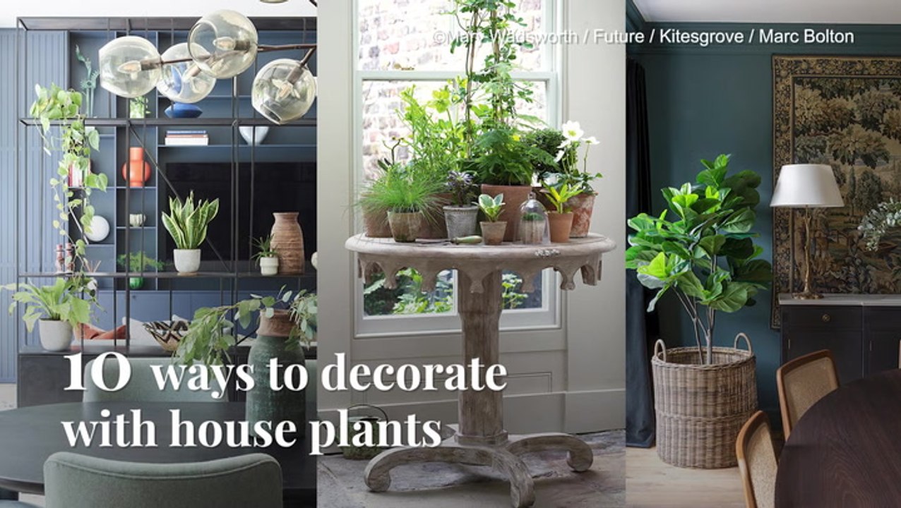 Decorating With Plants