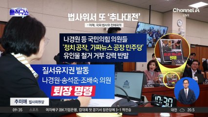 [핫피플]법사위서 또 ‘추나대전’…“오빠한테 도움?” vs “尹이 왜 나와”