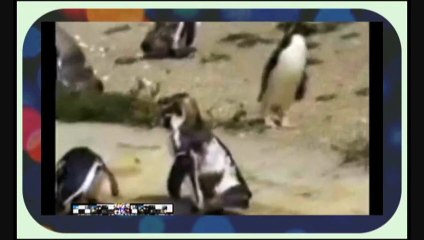 The Viper vs. Mad-E-Fact - Control the party