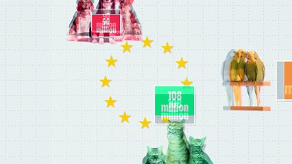 100 emberre 29 kutya jut Magyarországon, ezzel vezetjük az uniós rangsort