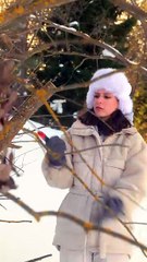 Snow-white girl survives in icy cold forest