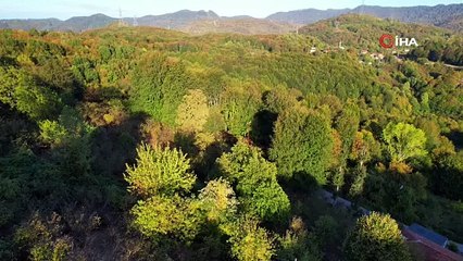 Zonguldak'ta renk cümbüşü havadan görüntülendi