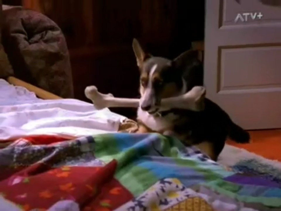 Dharma & Greg Staffel 3 Folge 16 'Eine Leiche im Garten' #Deutsch #HD