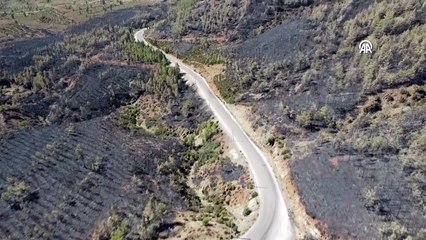 Muğla'da yangından zarar gören alanlar havadan görüntülendi