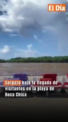 Sargazo baja la llegada de visitantes en la playa de Boca Chica