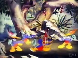 001 Pica Pau - Biruta