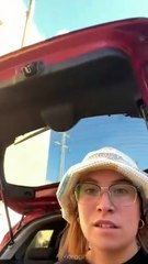 Animal funny video collection with the best cute cats and dogs in hilarious moments