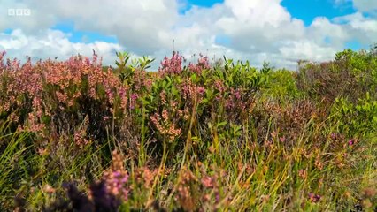 Countryfile - Solway Coast