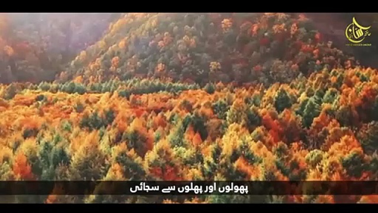 Most_beautiful_Hmad_2025_-_Dil_Pe_Kalme_Ki_zarb_laga_-_Hafiz_Hassan_Anzar_-_Zaki_Ahmed_-_Naat_Sharif(360p)