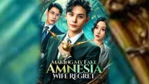 Making My Fake Amnesia Wife Regret Chinese Drama