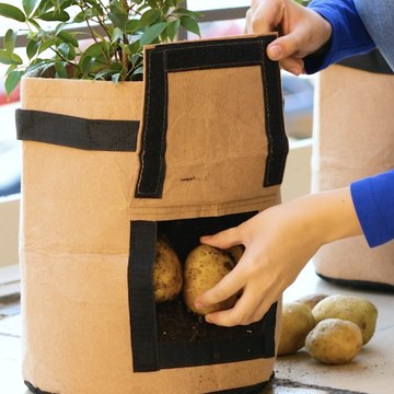 ASTUCES NIVEAU pour le jardinage avec des outils et des idées incroyables 🌼✨