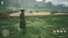 Hogwarts Legacy #74 Quidditch pitch broom trail