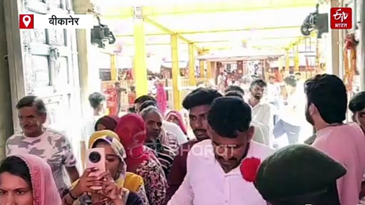 शारदीय नवरात्रि : देशनोक करणी माता की महिमा, 'चूहा वाली देवी' के दर्शन करने आते हैं भक्त