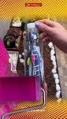 Tips Trick Today, Senin 22 September 2025