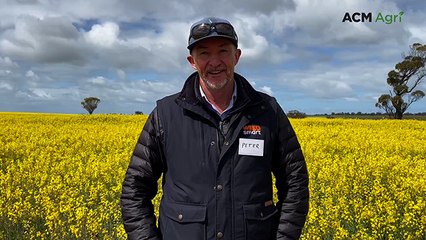 Minimising grain losses a big focus at GRDC's harvester set up workshops