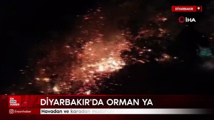 Diyarbakır'da orman yangını: Havadan ve karadan müdahale sürüyor