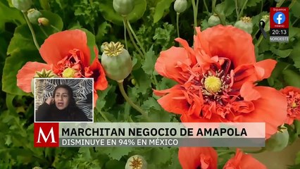 Milenio Noticias, con Víctor Hugo Michel, 21 de septiembre de 2025