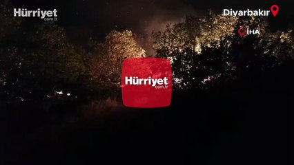 Diyarbakır'da orman yangını: Havadan ve karadan müdahale sürüyor