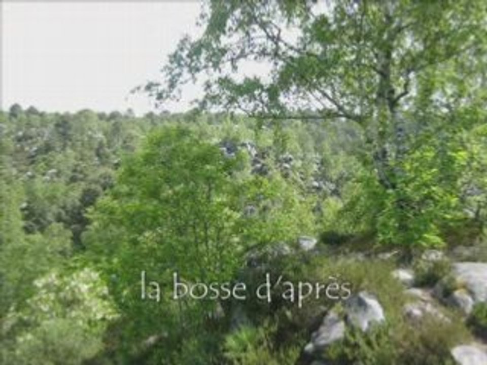 Les 25 bosses