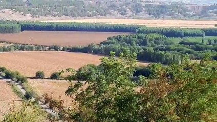 Dünya mirası  Hevsel Bahçeleri, tarlalara dönüşüyor!