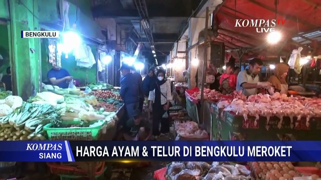 Harga Ayam dan Telur di Bengkulu Melonjak Akibat Program Makan Bergizi Gratis | KOMPAS SIANG
