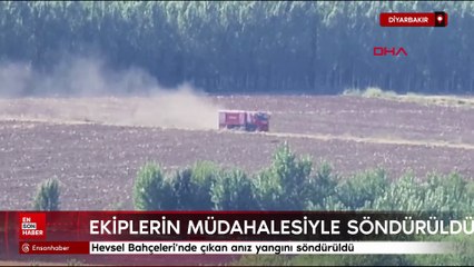 Diyarbakır'da Hevsel Bahçeleri'nde çıkan anız yangını söndürüldü