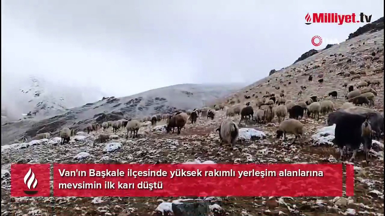 Eylül ayında kar sürpriz! Mahalleli şaşkına döndü