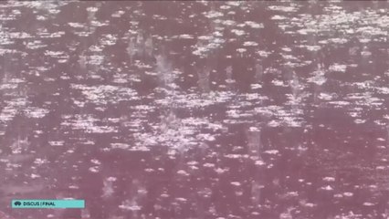 La lluvia, enemiga de los lanzadores de disco