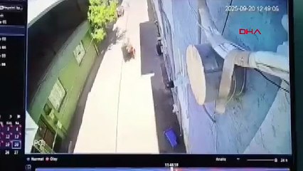 Kucağında çocuğuyla yürüyen anneyi 3 kadın darbetti