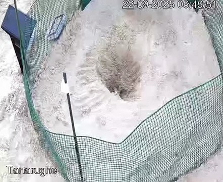 Image from field_mediaid