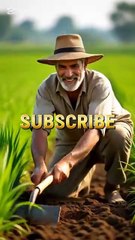 Moral story for kids|| A greedy farmer story