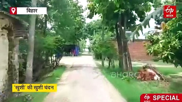 पकौली की 'खुशियों का खजाना', गांव की बेटियों से चंदन के पेड़ का अनोखा रिश्ता, बेसहारों का सहारा चंदन का पेड़