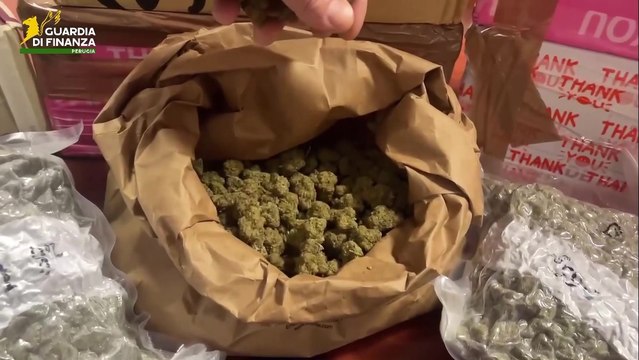 Perugia, maxi operazioni antidroga: sequestri di cocaina, marijuana e derivati di canapa (22.09.25)